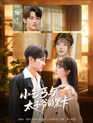 小乞丐与太子爷的黑卡（60集）免费版