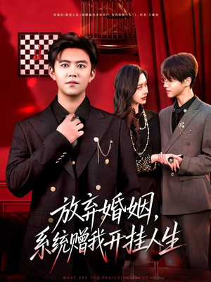 放弃婚姻，系统赠我开挂人生（60集）精彩短剧免费看