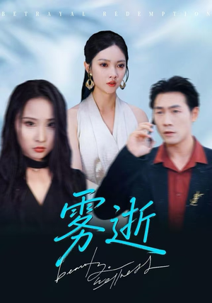 雾逝（30集）免费观看就是爽