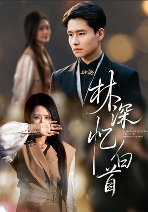 林深忆白首（60集）深深爱上这部剧