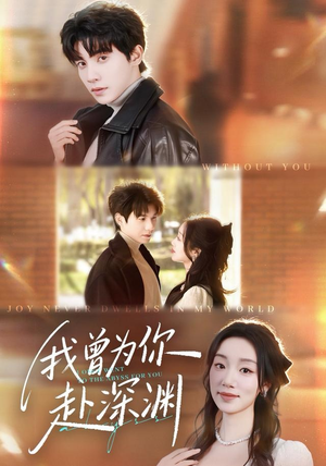 我曾为你赴深渊（63集）在线播放