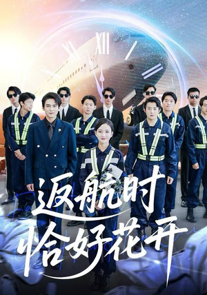 返航时恰好花开（101集）怎么看全集