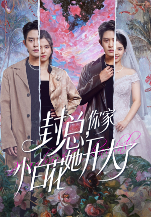 封总，你家小白花她开大了（60集）在哪看