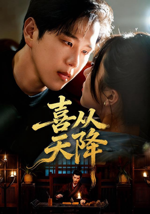 喜从天降(50集) 喜从天降(50集)热门短剧抢先