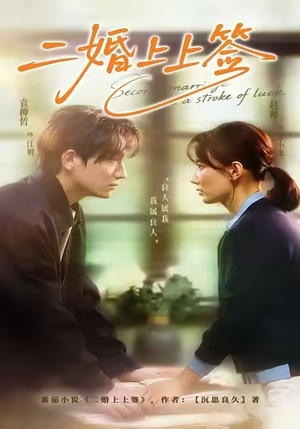 二婚上上签（71集）精彩短剧推荐
