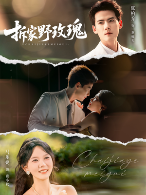 拆家野玫瑰（80集）独家短剧免费看