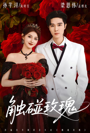 触碰玫瑰（80集）火爆短剧抢先看