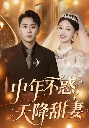 中年不惑，天降甜妻（60集）好看吗