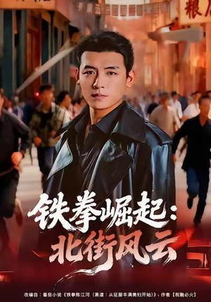 铁拳崛起：北街风云（80集）无需充值尽情看