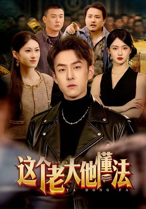 这个老大他懂法（100集）在线看