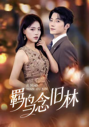 羁鸟念旧林(60集) 羁鸟念旧林(60集)网络小短剧