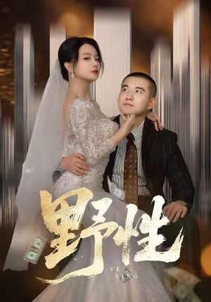 分手后，顶头上司要嫁我（70集）好看短剧分享