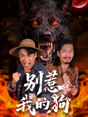 别惹我的狗（40集）一共多少集