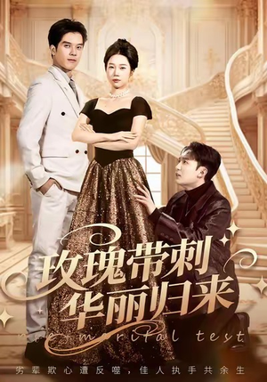 婚前测试他不配（83集）让你一口气看完