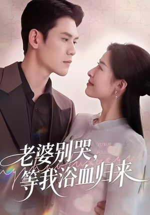 老婆别哭,等我浴血归来(45集) 老婆别哭,等我浴血归来(45集)演员表