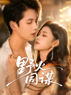 野火同谋（66集）深深爱上这部剧
