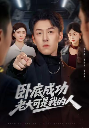 卧底成功老大可是我的人(99集) 卧底成功老大可是我的人(99集)夸克网盘观看