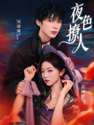 夜色撩人（76集）在线看到大结局