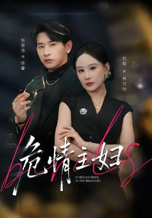 危情主妇（60集）热门短剧排行榜