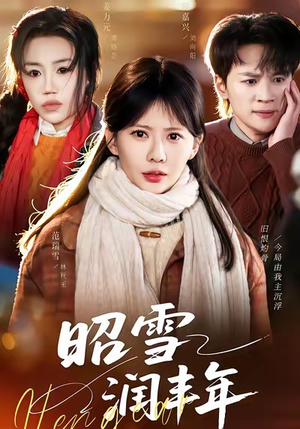 昭雪润丰年（66集）免费版