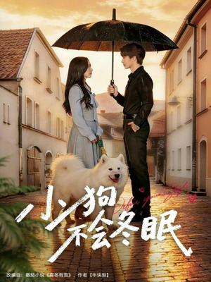 小狗不会冬眠（70集）超好看古装短剧