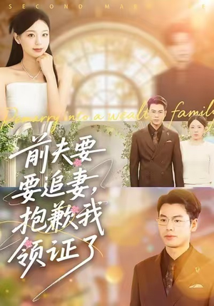 前夫要追妻，抱歉我领证了（81集）更新时间一览表