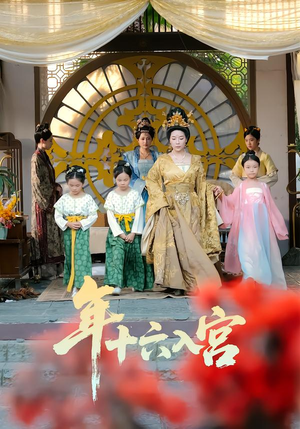 年十六入宫（34集）热播短剧排行榜