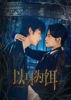 以身为饵（61集）在线看