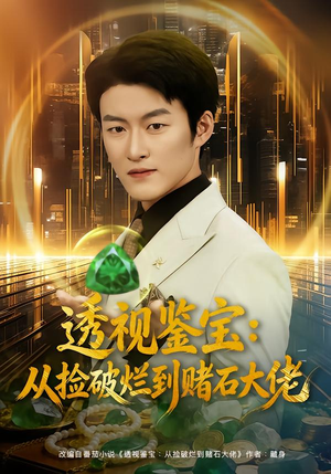 透视鉴宝：从捡破烂到赌石大佬（80集）高分佳作免费看