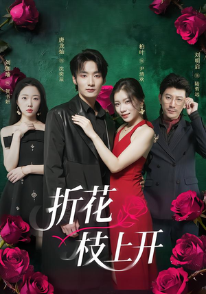 折花枝上开（51集）短剧看全集