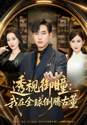 透视御瞳：我在全球倒腾古董（80集）免费在线看