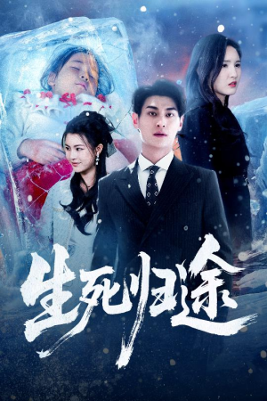 生死归途（50集）解说文案