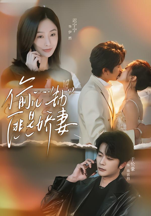 偷心劫匪是娇妻（61集）热播古装短剧