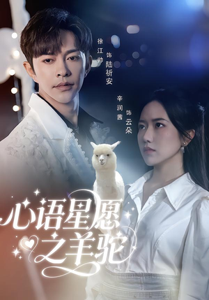 心语星愿之羊驼（60集）免费短剧完整版