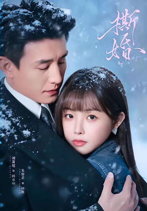 【撕婚】23集短剧无删减在线播放