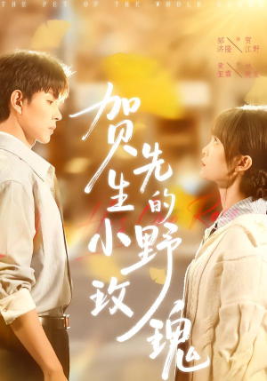 【贺先生的小野玫瑰】99集短剧在线免费追看