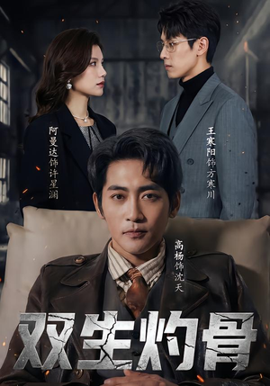 【双生灼骨】60集短剧免费完整版速看