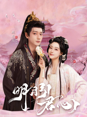 【明月引君心】74集短剧免费全集在线速看