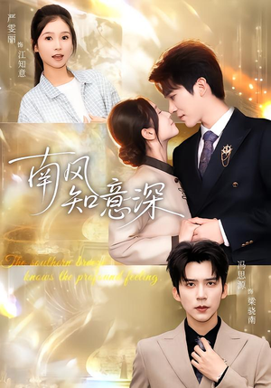 【南风知意深】40集短剧全集免费在线看