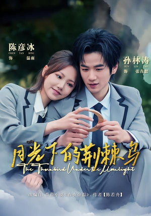 【月光下的荆棘鸟】80集短剧完整版在线观看