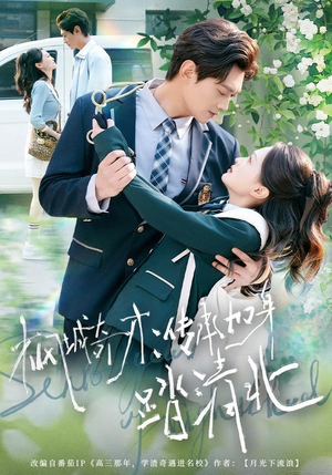 【枫城奇才：传承加身踏清北】80集短剧免费在线播放看