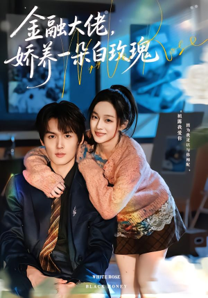 【金融大佬，娇养一朵白玫瑰】70集短剧免费高清观看