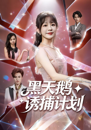 【黑天鹅诱捕计划】81集免费短剧在线欢乐看