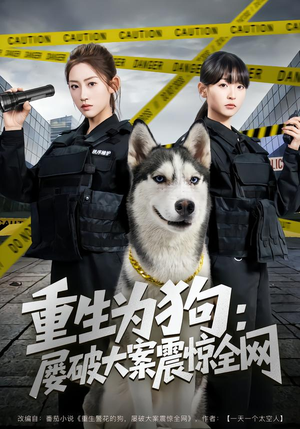 附加词：80集全网热播短剧免费观看