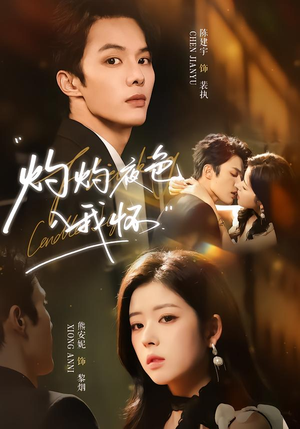 【灼灼夜色入我怀】60集高清短剧免费在线看全集