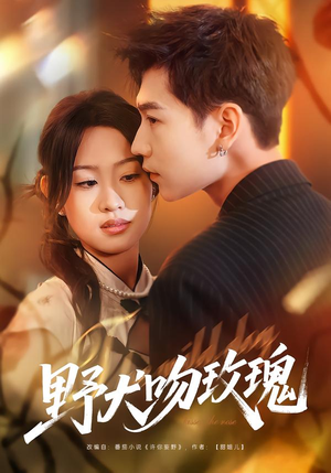 【野犬吻玫瑰】70集热门短剧免费高清观看