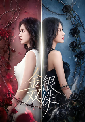 【金银双姝】80集精彩短剧全集免费看