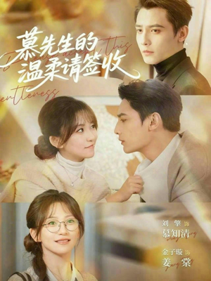 【慕先生的温柔请签收】90集短剧完整版免费在线看