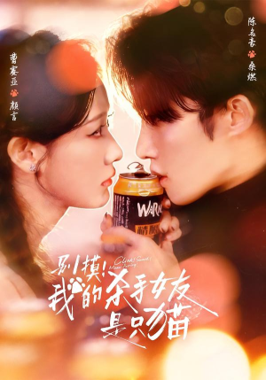 【别摸！我的杀手女友是只猫】60集短剧完整版在线看