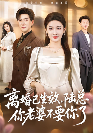 【离婚已生效，陆总你老婆不要你了】61集短剧免费高清在线看